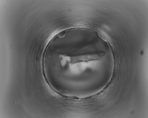 X0000090621291200707241120