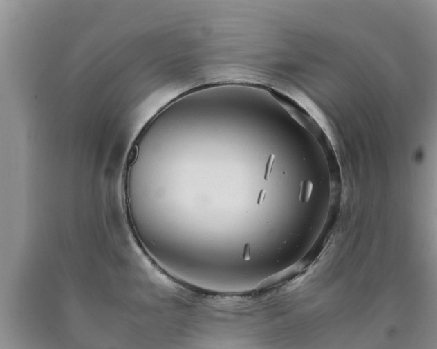 X0000090621293200707241120