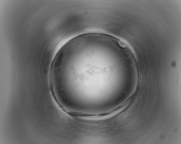 X0000090621295200707241120