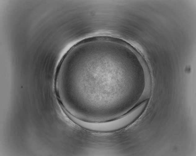 X0000090621296200707241120