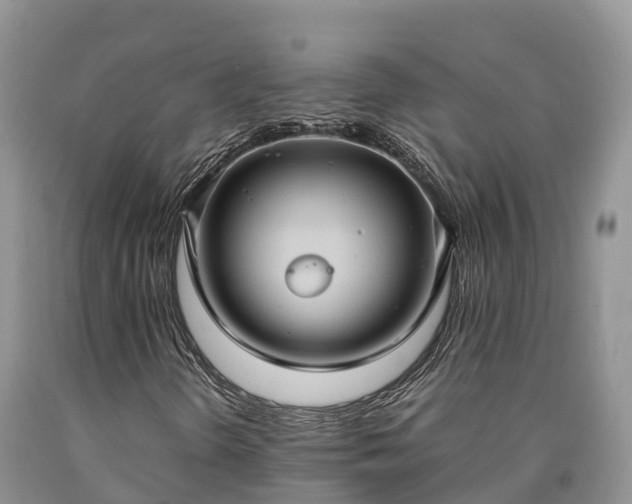 X0000090621298200707241120