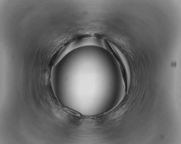 X0000090621300200707241120