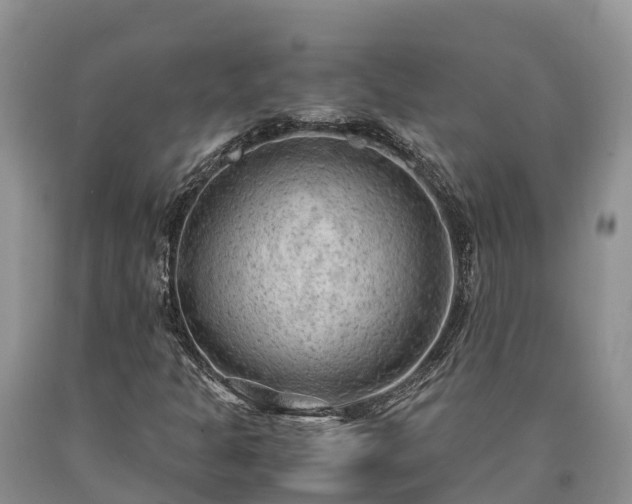X0000090621301200707241120