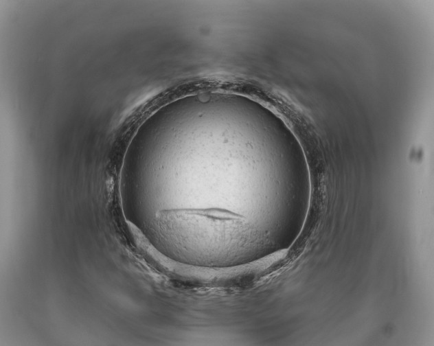 X0000090621302200707241120