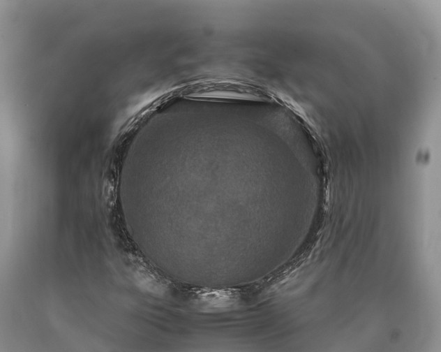 X0000090621303200707241120