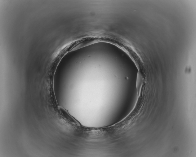 X0000090621304200707241120
