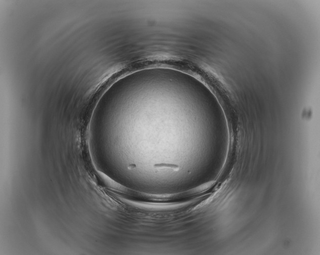 X0000090621305200707241120