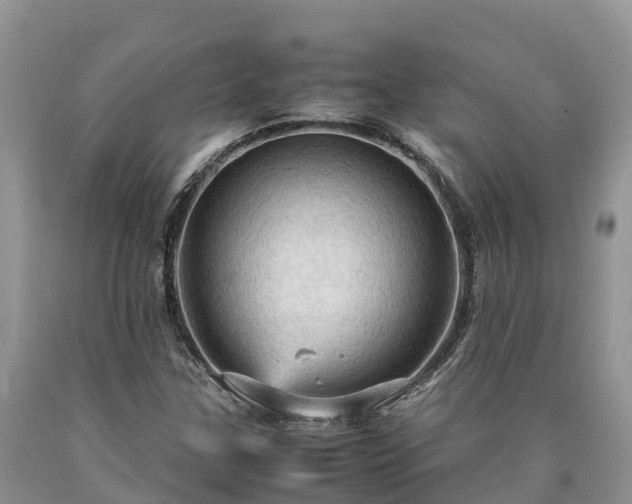 X0000090621307200707241120