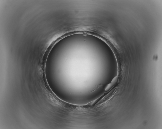 X0000090621308200707241120