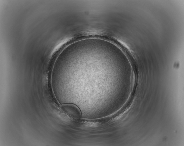X0000090621309200707241120