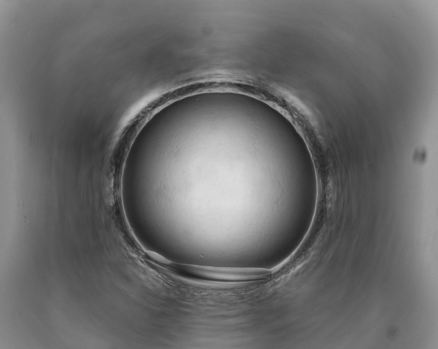 X0000090621310200707241120