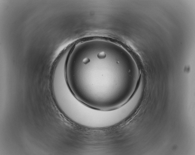 X0000090621312200707241120
