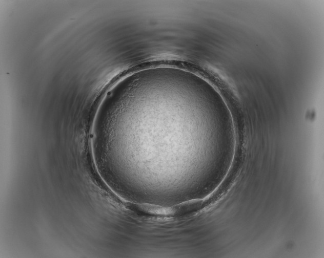 X0000090621313200707241120