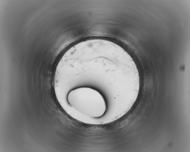 X0000090621314200707241120