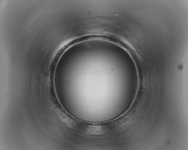 X0000090621315200707241120