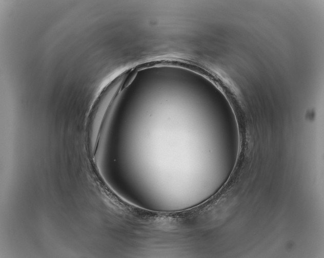 X0000090621316200707241120