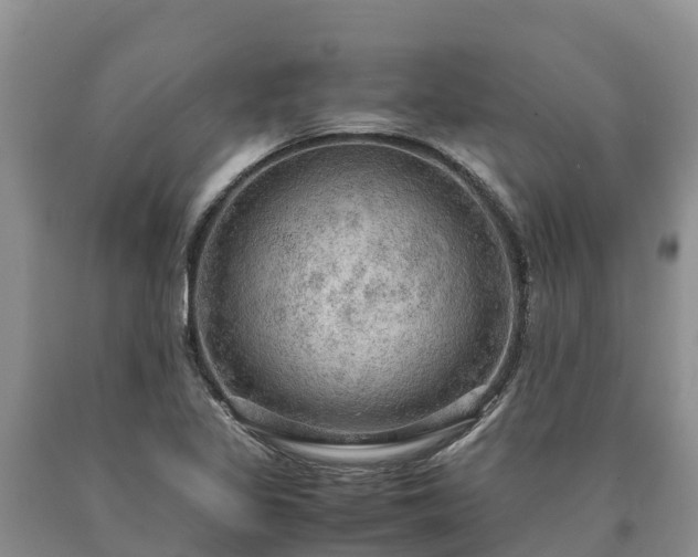 X0000090621317200707241120