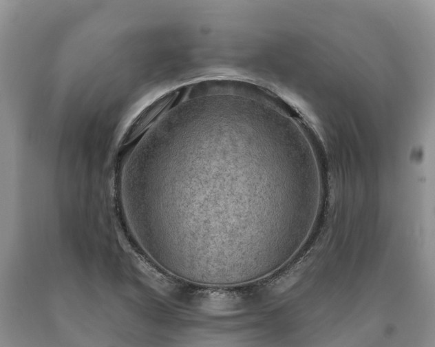 X0000090621318200707241120