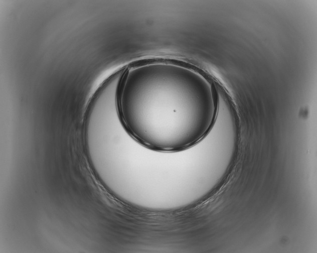 X0000090621320200707241120