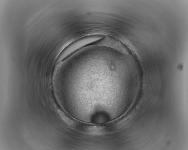 X0000090621321200707241120