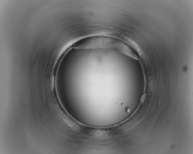 X0000090621324200707241120