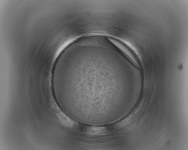 X0000090621325200707241120