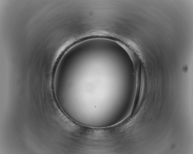 X0000090621326200707241120