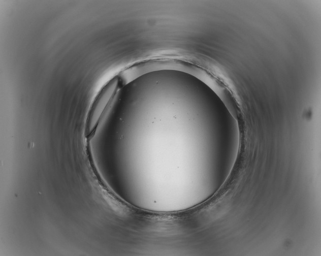 X0000090621328200707241120