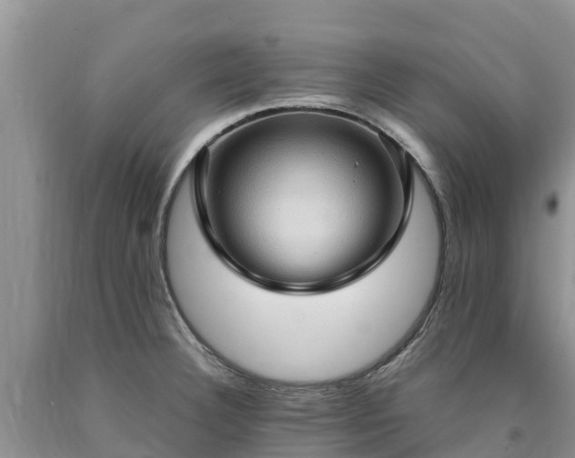 X0000090621332200707241120
