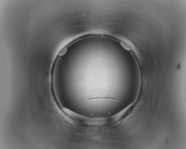 X0000090621335200707241120