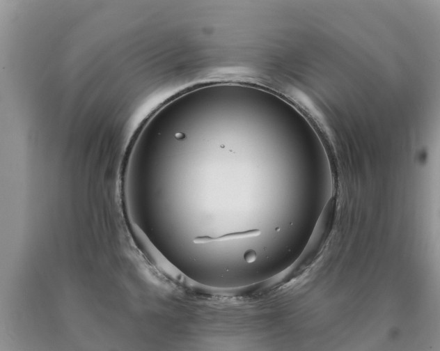 X0000090621336200707241120