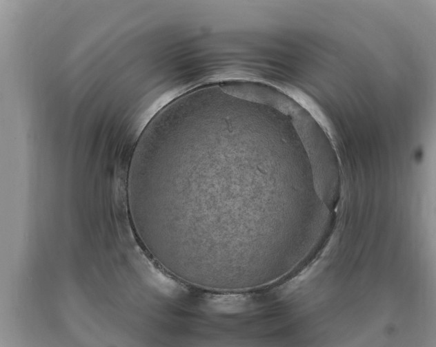 X0000090621337200707241120