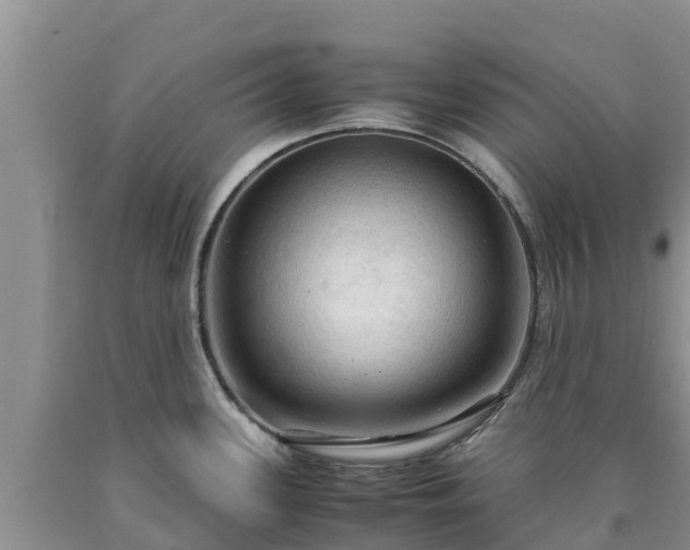 X0000090621339200707241120