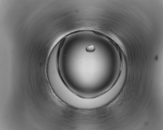 X0000090621340200707241120