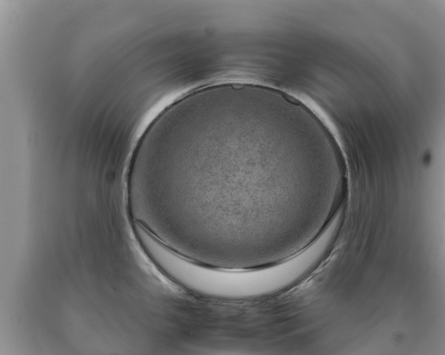 X0000090621341200707241120