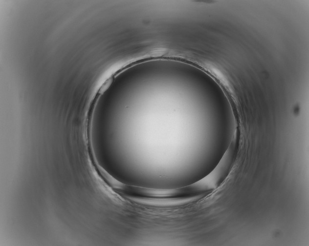 X0000090621342200707241120
