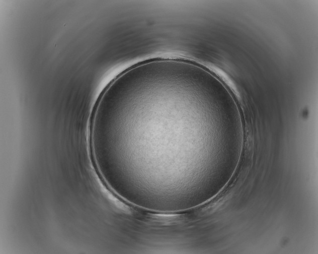 X0000090621343200707241120