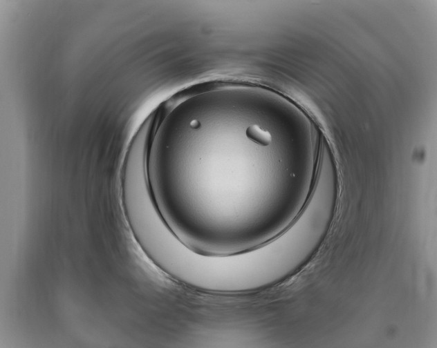 X0000090621344200707241120