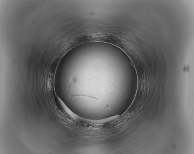 X0000090621346200707241119