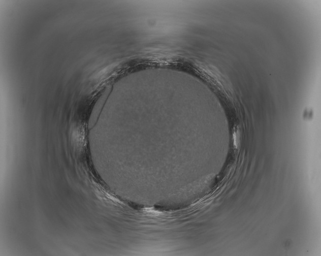X0000090621347200707241119