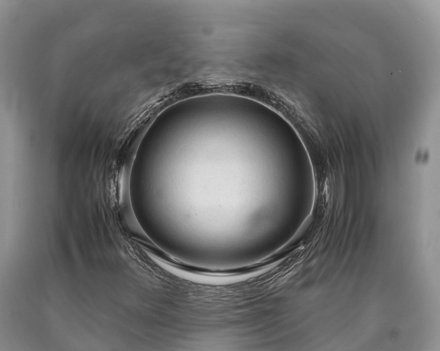 X0000090621348200707241119