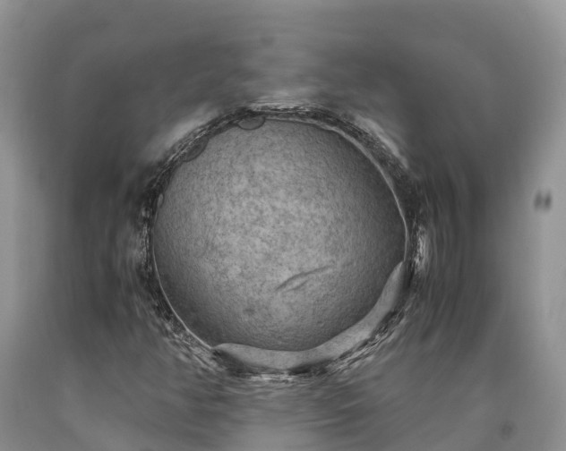 X0000090621350200707241119