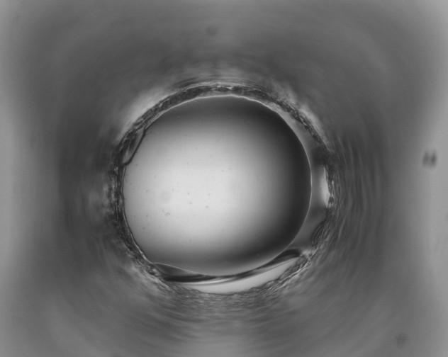 X0000090621352200707241119