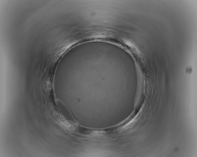 X0000090621353200707241119