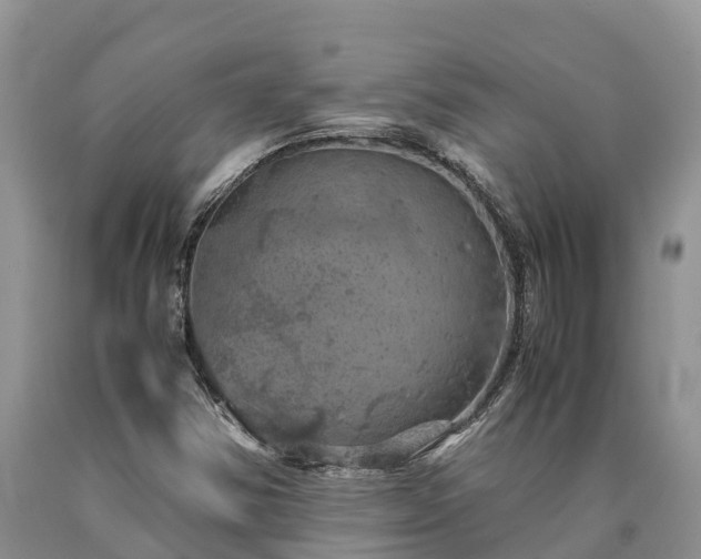 X0000090621354200707241119