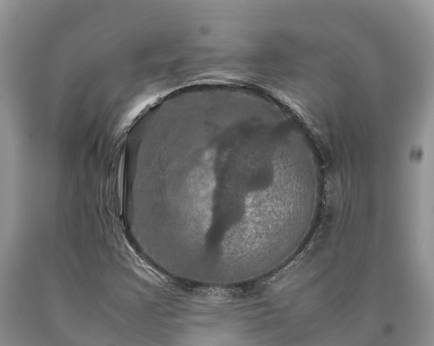 X0000090621355200707241119