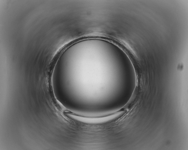 X0000090621356200707241119