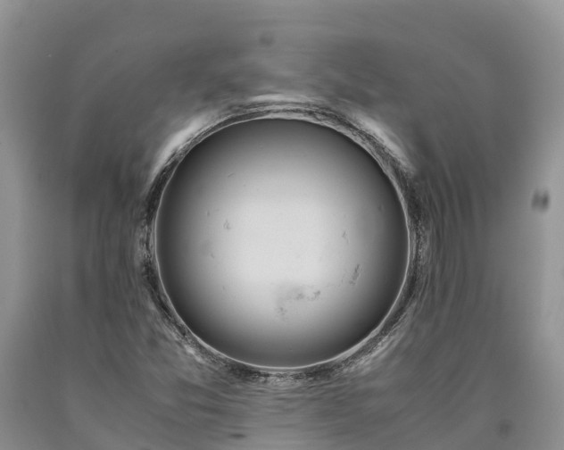 X0000090621357200707241119