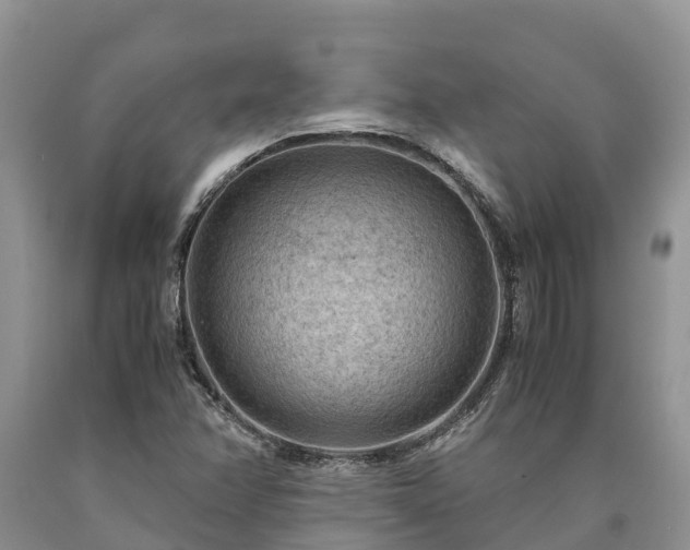 X0000090621358200707241119