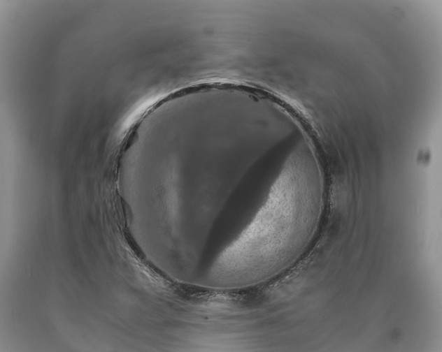 X0000090621359200707241119